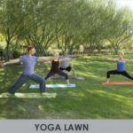 Yoga-Lawn